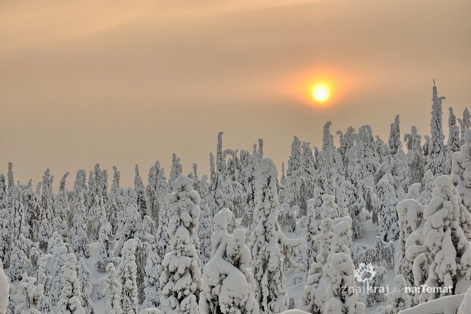 Częsty widok nieba nad okolicami Kuusamo