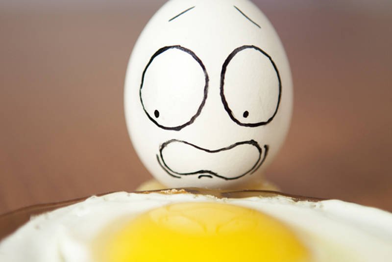 Jajka to jedna z podstaw naszej diety