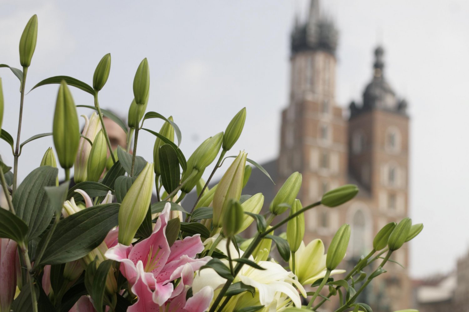 Wzruszające i piękne pożegnanie profesora.