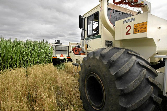 Kto jest najbardziej oszczędny? Rolnicy. Na głowę Polaka przypada 14,3 tys. zł oszczędności