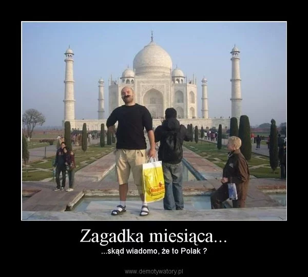 Protoplasta mody na zdjęcia z torbą Biedronki.