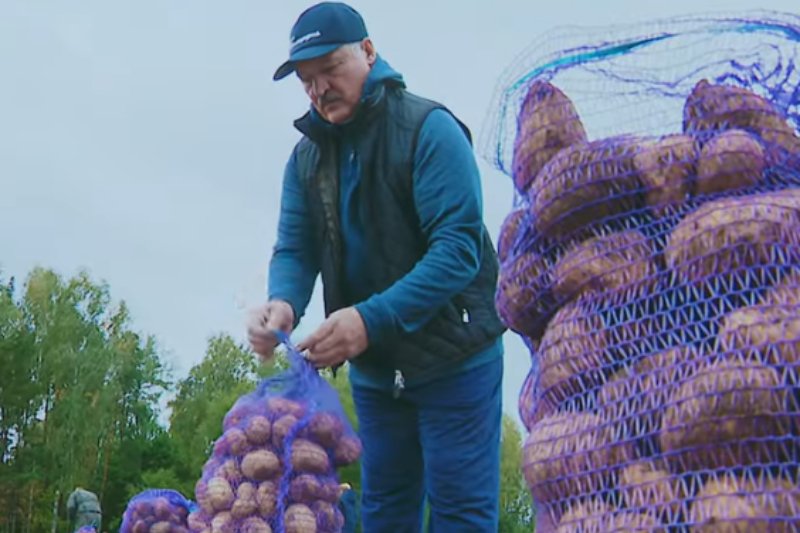 efc205eababe1395e82aa70daf238d8a,0,0,0,0