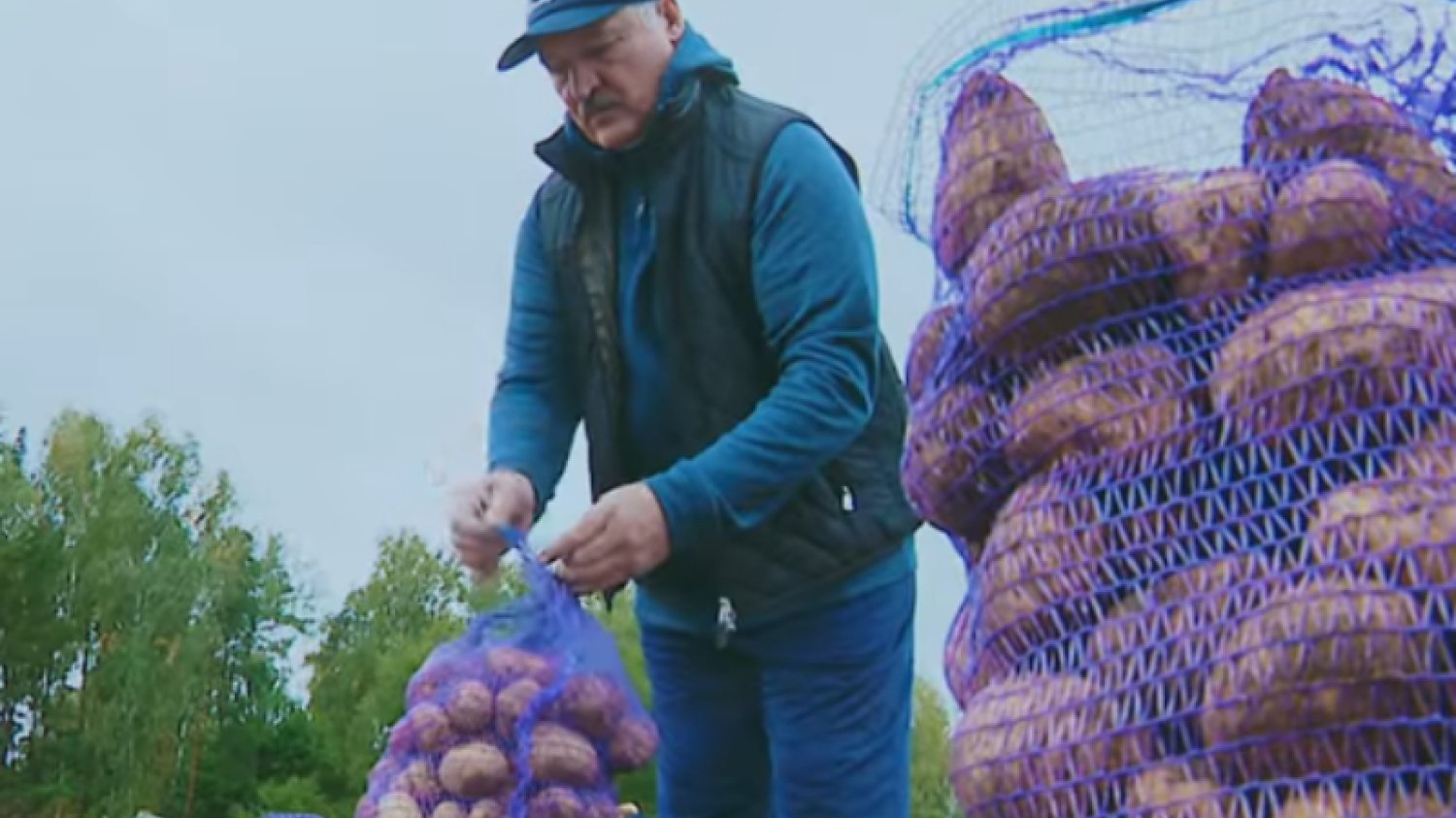 Łukaszenka w teledysku zbiera ziemniaki na polu. Bulba dance