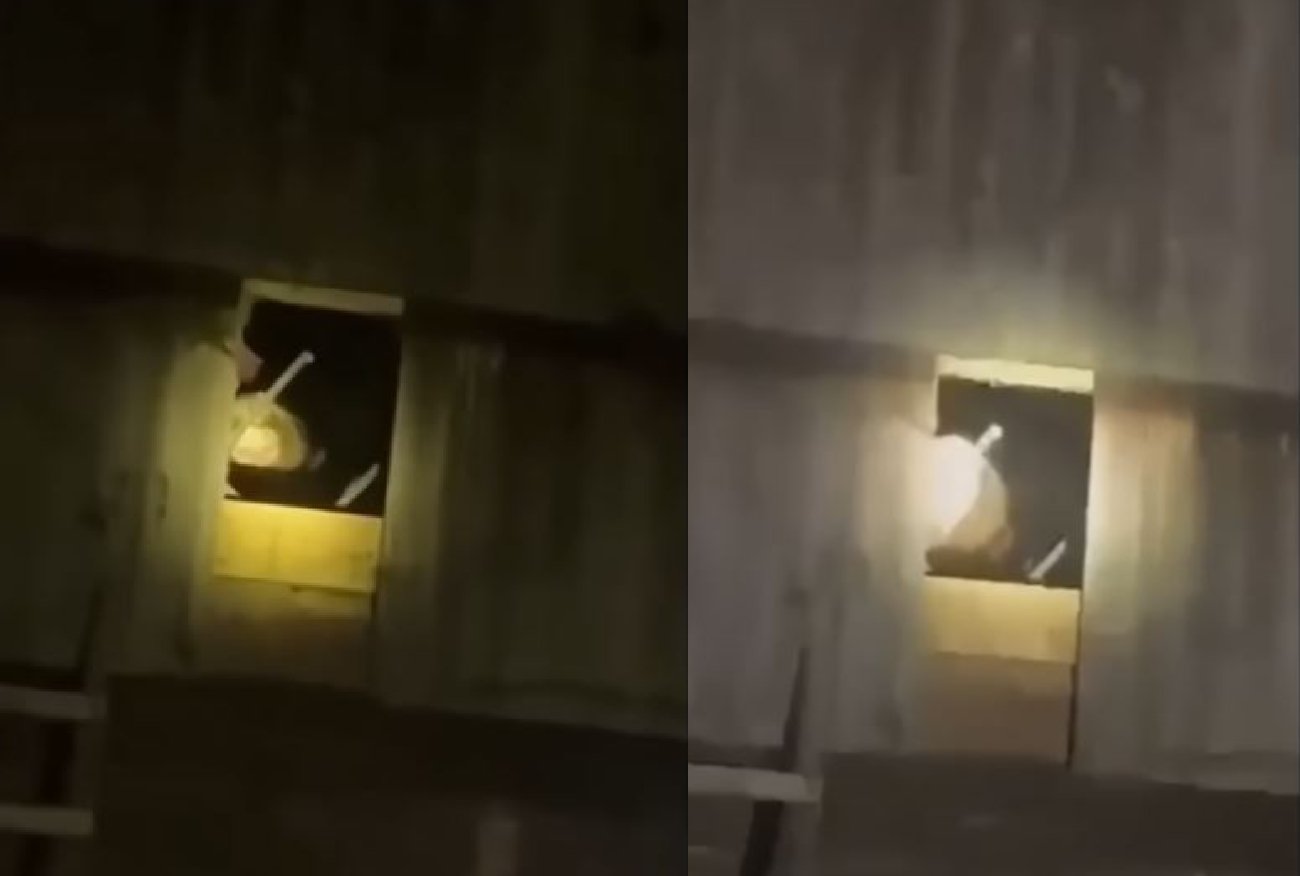 To nie kadr z horroru, a z interwencji policji. "Do tej pory mam dreszcze".