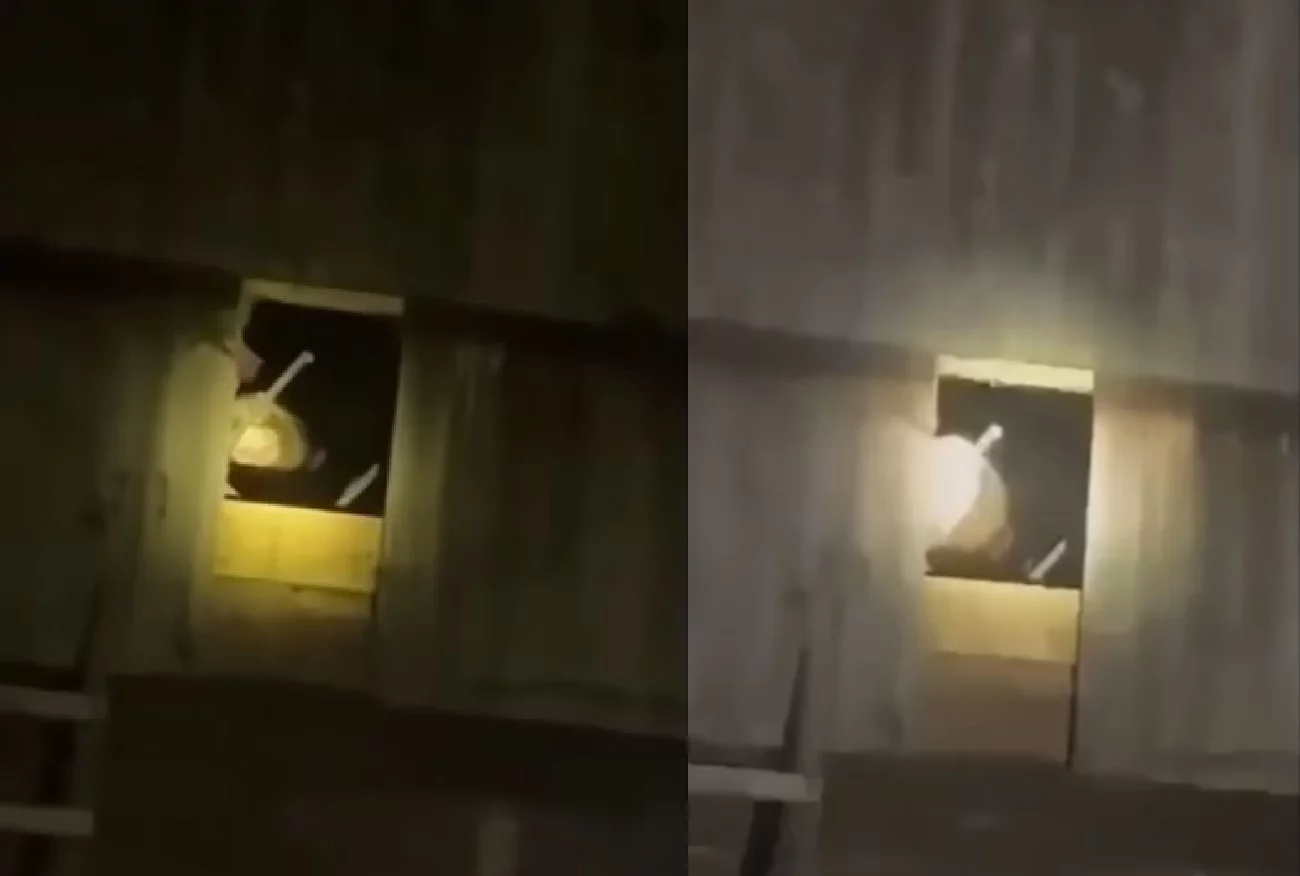 To nie kadr z horroru, a z interwencji policji. "Do tej pory mam dreszcze".