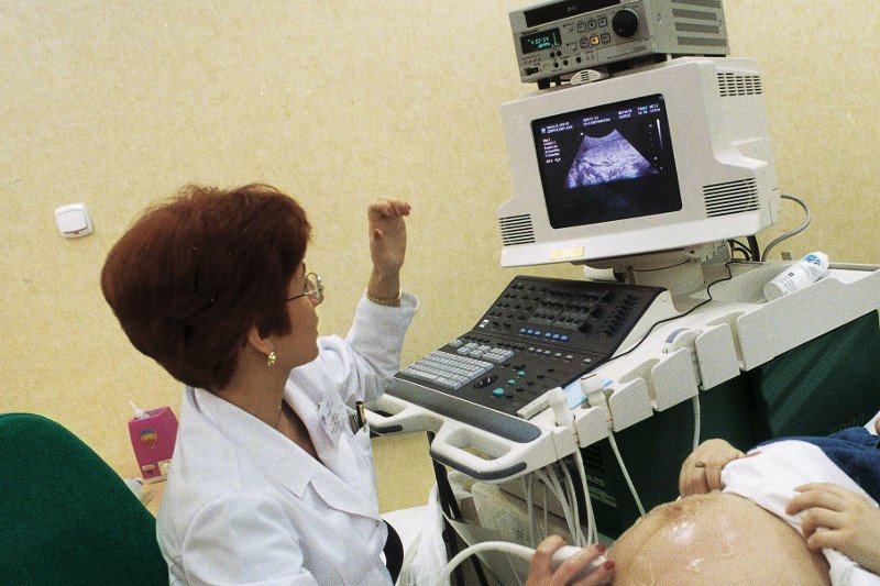 Prof. dr hab. Maria Respondek-Liberska, laureatka plebiscytu "KOBIETY MEDYCYNY 2016".