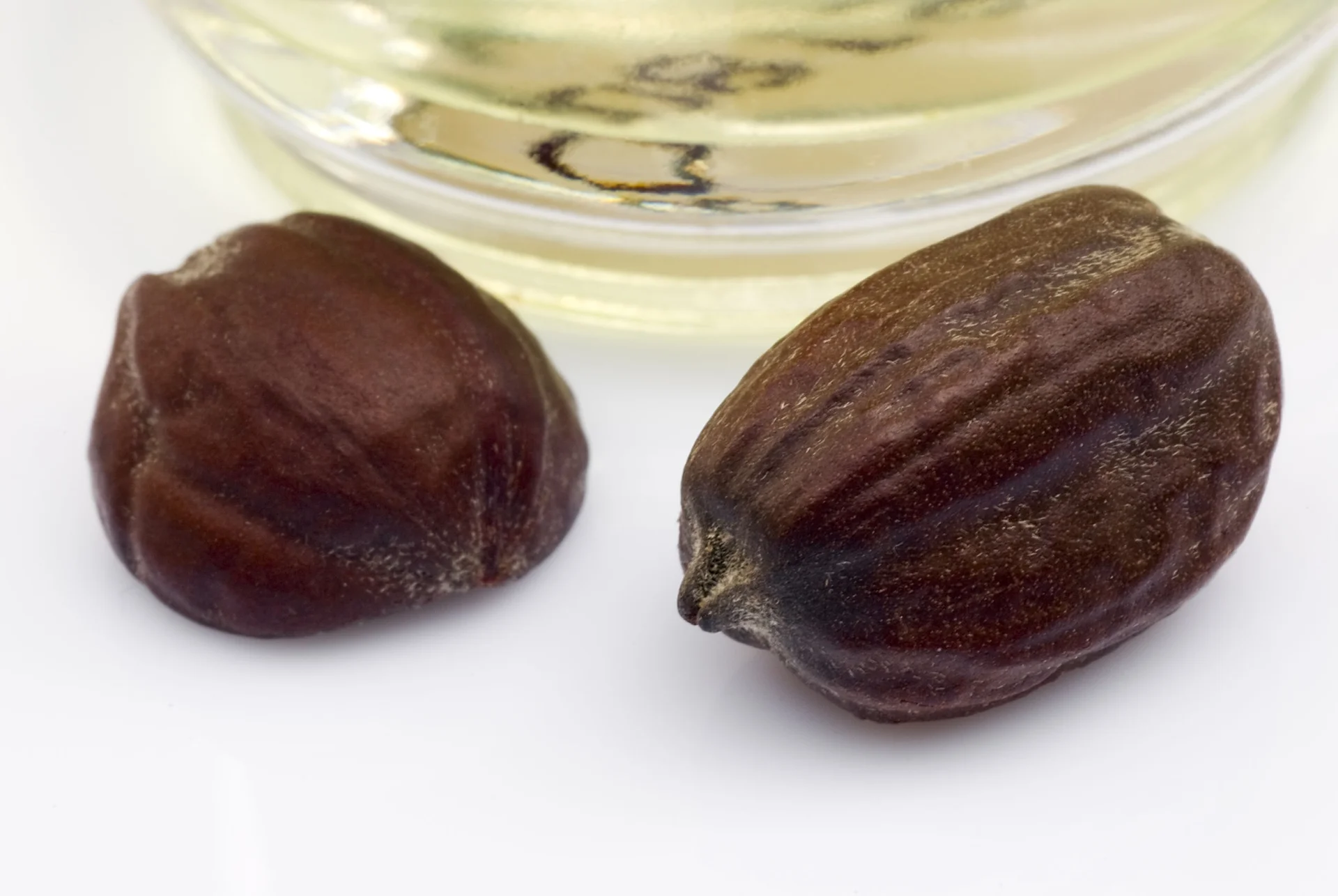 Nasiona krzewu simondissii kalifornijskiej znanej także jako jojoba