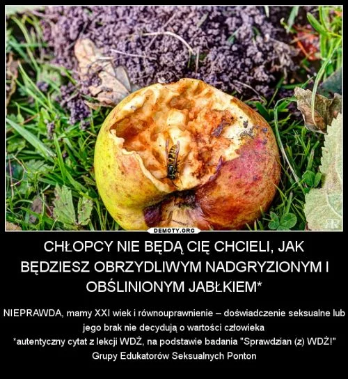 Cytaty z ankiet "Sprawdzian z Wdż"