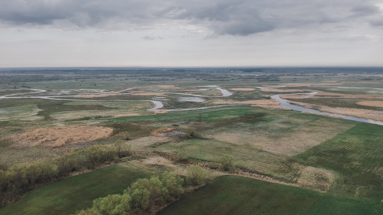 Tak odradza się natura po zeszłorocznym pożarze Biebrzańskiego Parku Narodowego [RELACJA FOTO]