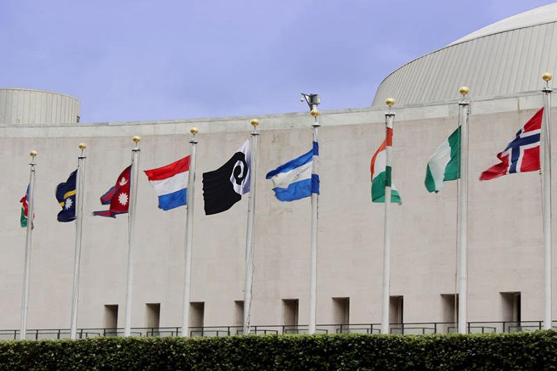 Jedna z propozycji flag pośród innych, autentycznych.