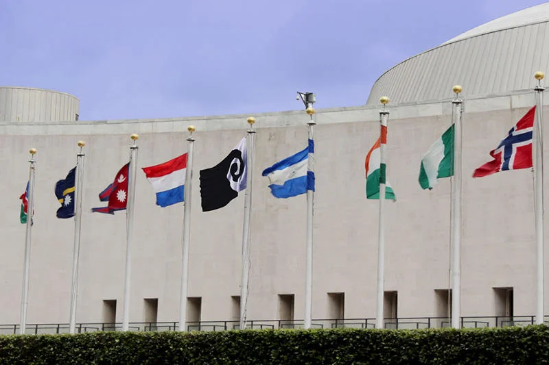 Jedna z propozycji flag pośród innych, autentycznych.