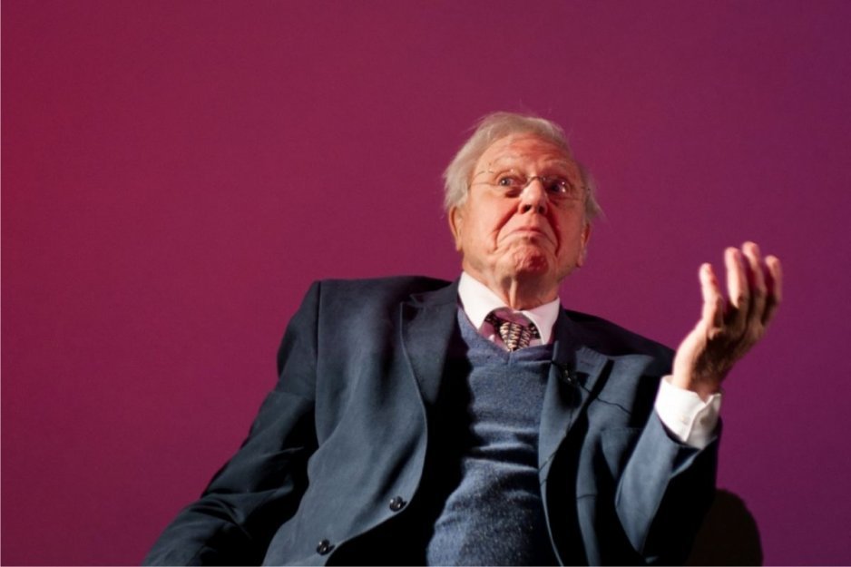 David Attenborough nie wróci już na Instagram