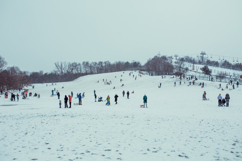 Do wypadku doszło w warszawskim Parku Szczęśliwickim.