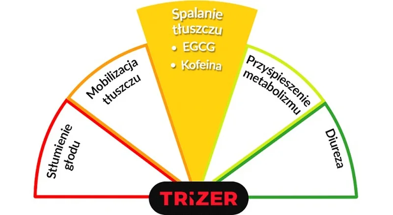 Trizer - spalanie tłuszczu