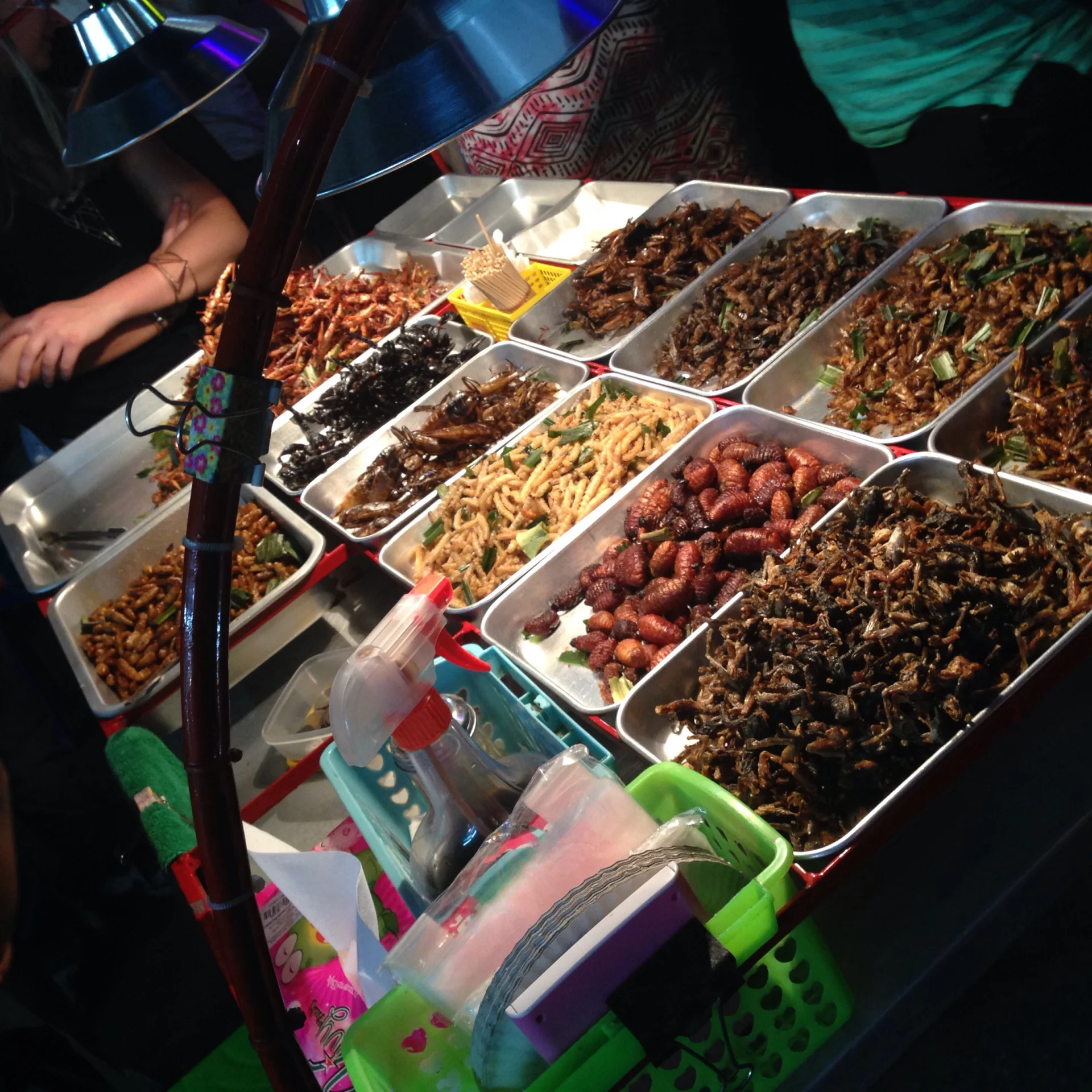 Stragan z pieczonymi robakami na Khao San. Bangkok/Tajlandia