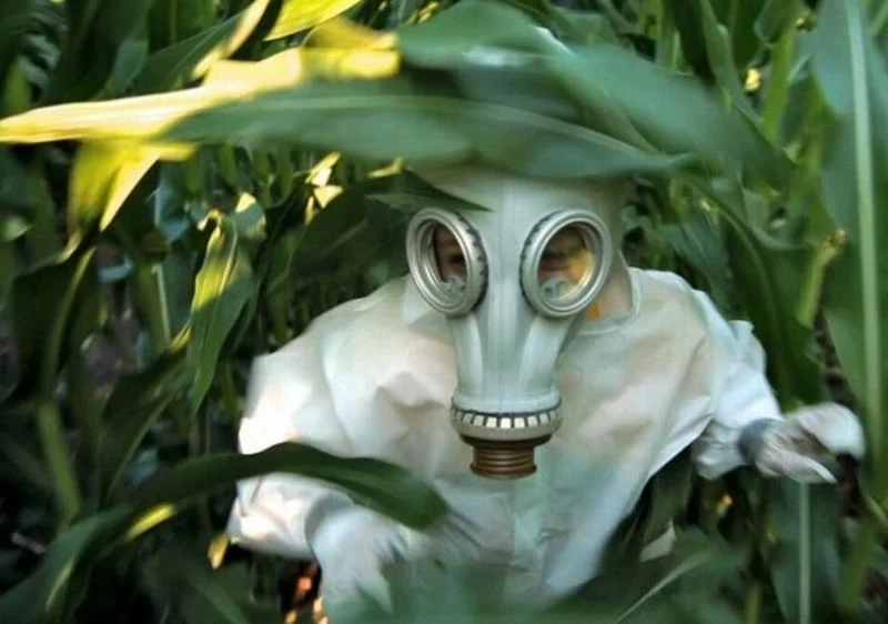 "GMO OMG" (2013)