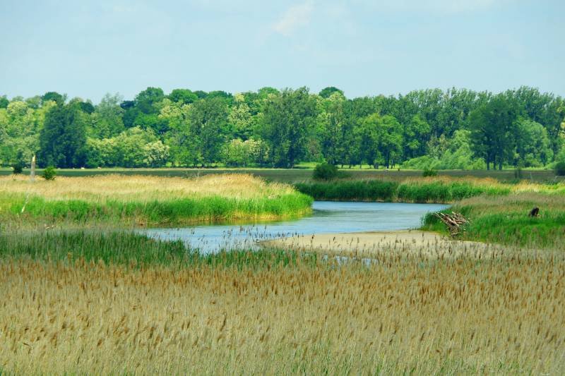 Budowa na polu lub działce rolnej jest możliwa