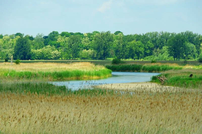 Budowa na polu lub działce rolnej jest możliwa
