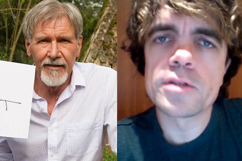 Na AMA gwiazdy kina odpowiedzą na każde twoje pytanie