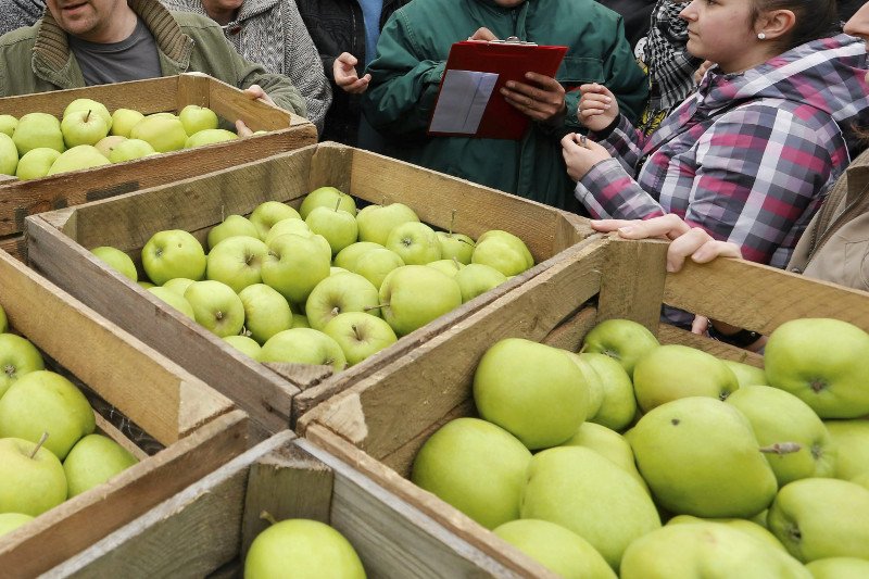 Francuzi nie chcą polskich jabłek?