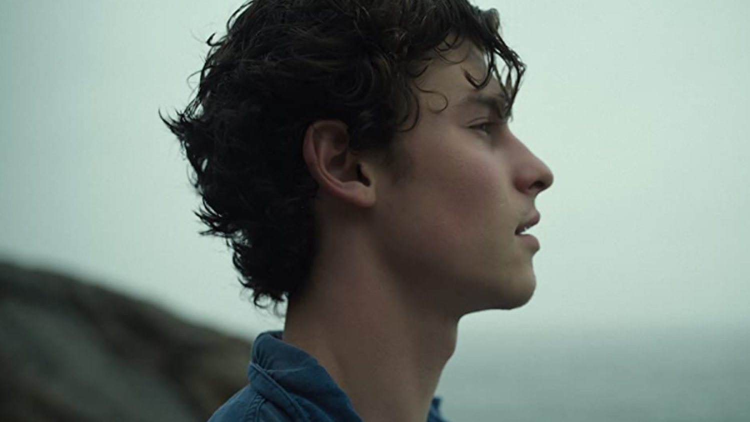 Na Netflixie można już oglądać film dokumentalny o Shawnie Mendesie "Shawn Mendes: In Wonder"