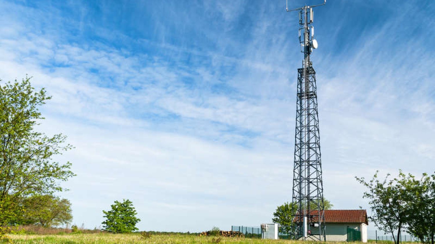 O wiele szybszy internet już nawet za rok. Prezes PIIT Wiesław Iszkowski tłumaczy, jak służy nam aukcja częstotliwości LTE
