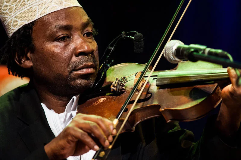 Grupa Zanzibar Taarab / Kidumbak Ensemble - koncert w Synagodze Pod Bialym Bocianem w ramach Brave Festival 2015.