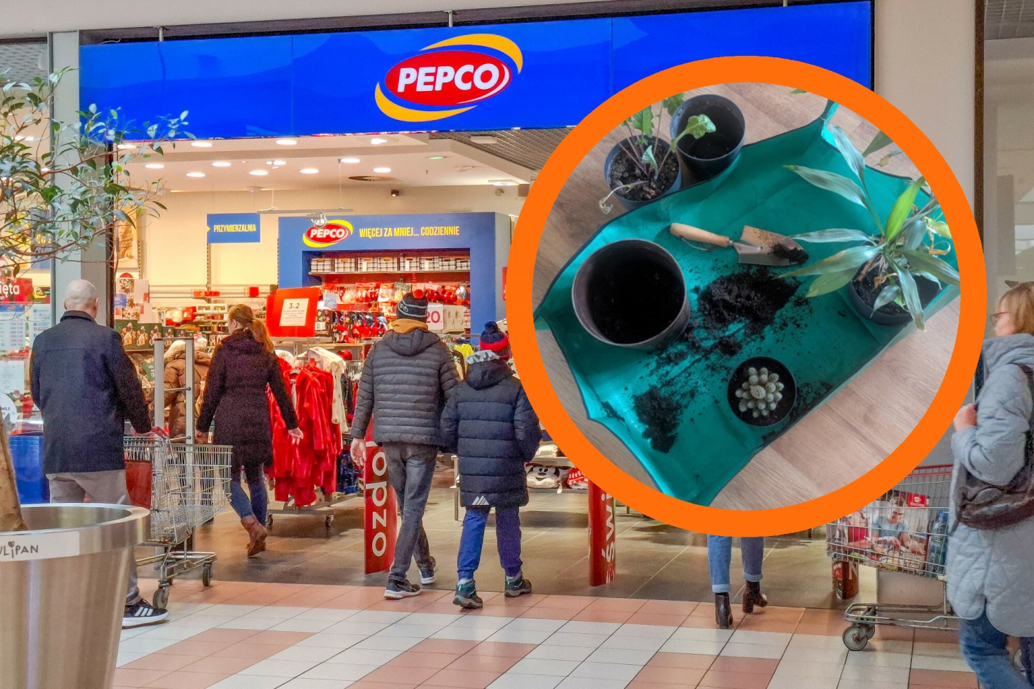 Mata do przesadzania kwiatków to hit. W Pepco można kupić ją za 9 zł