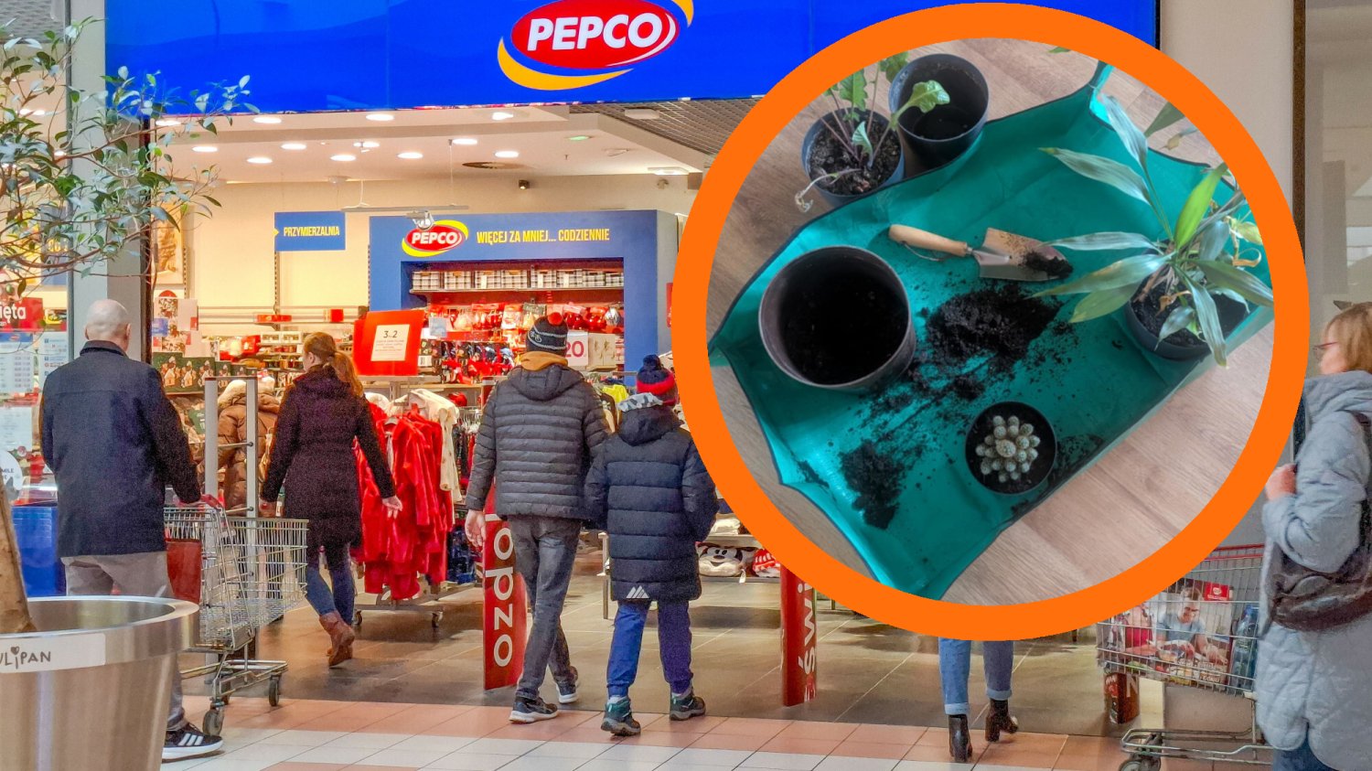 Mata do przesadzania kwiatków to hit. W Pepco można kupić ją za 9 zł