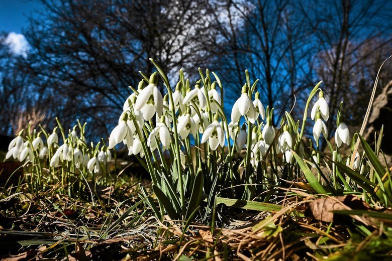 Na początku maja czeka nas pogodowa niespodzianka.