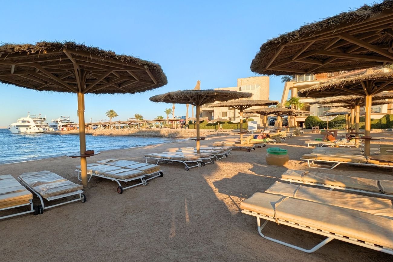 Rekiny rujnują all inclusive w Egipcie. Duży problem w ulubionym mieście Polaków