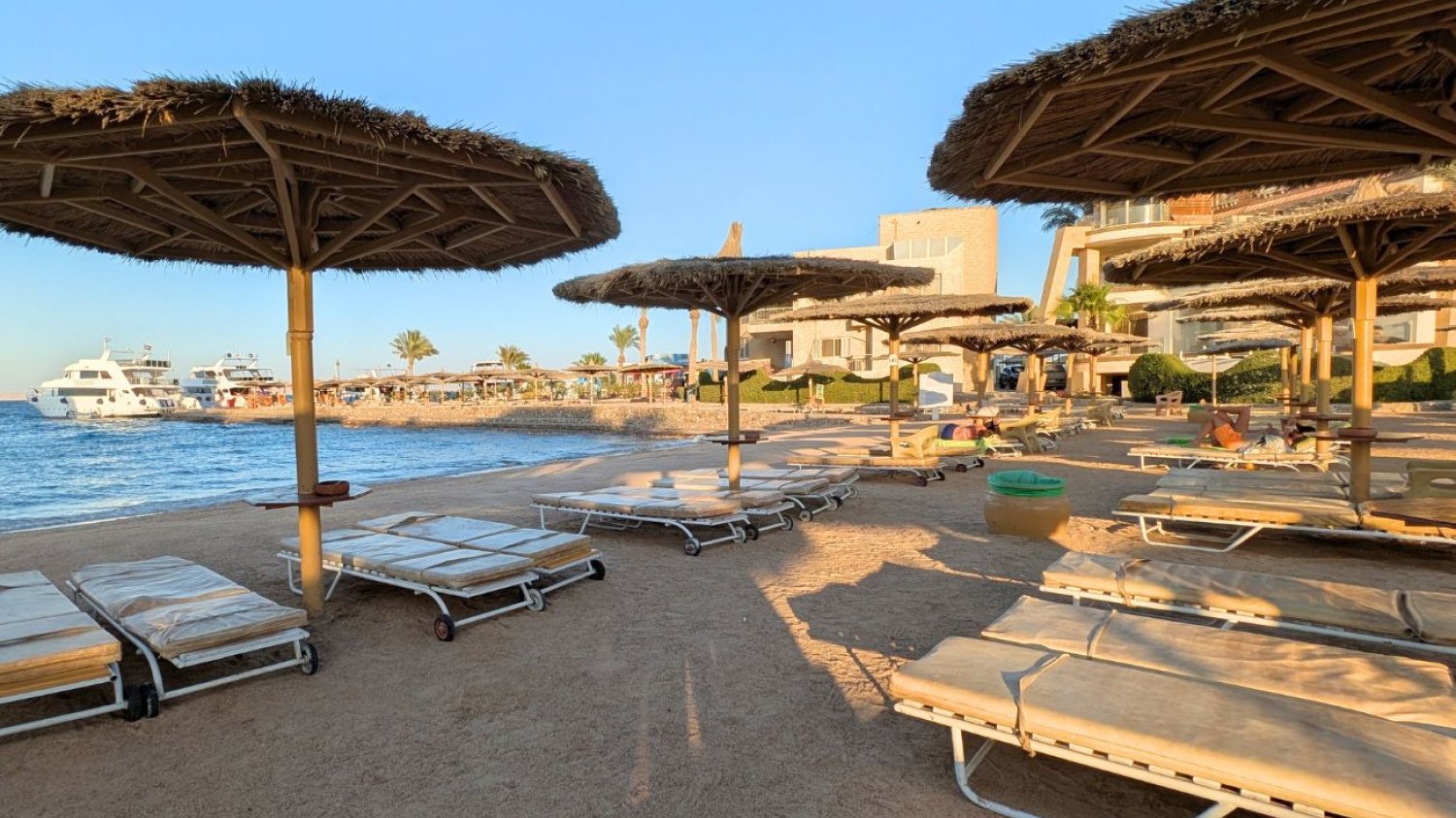 Plaża w Egipcie Nie będzie plażowania w Egipcie. Kąpiele zakazane przez rekiny