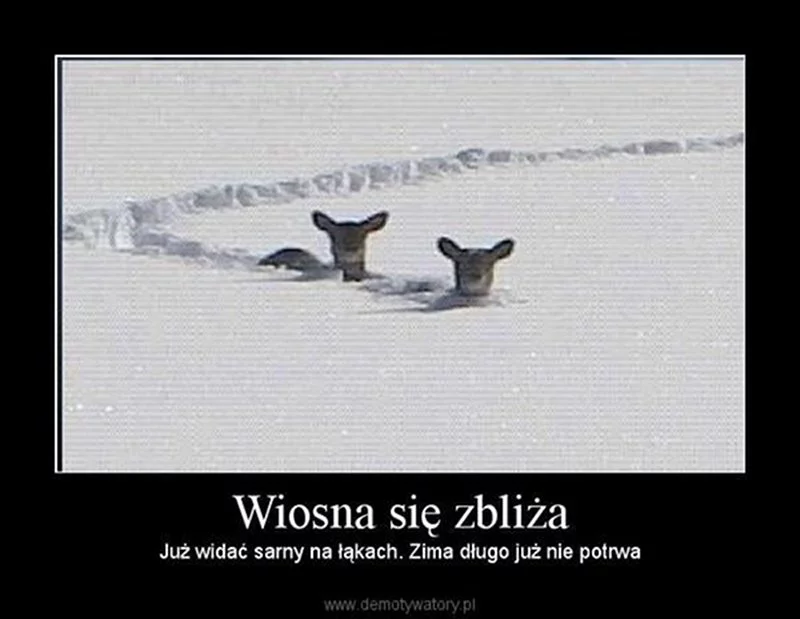 Internet śmieje się z zimy. Ale czy powinno nam być do śmiechu?