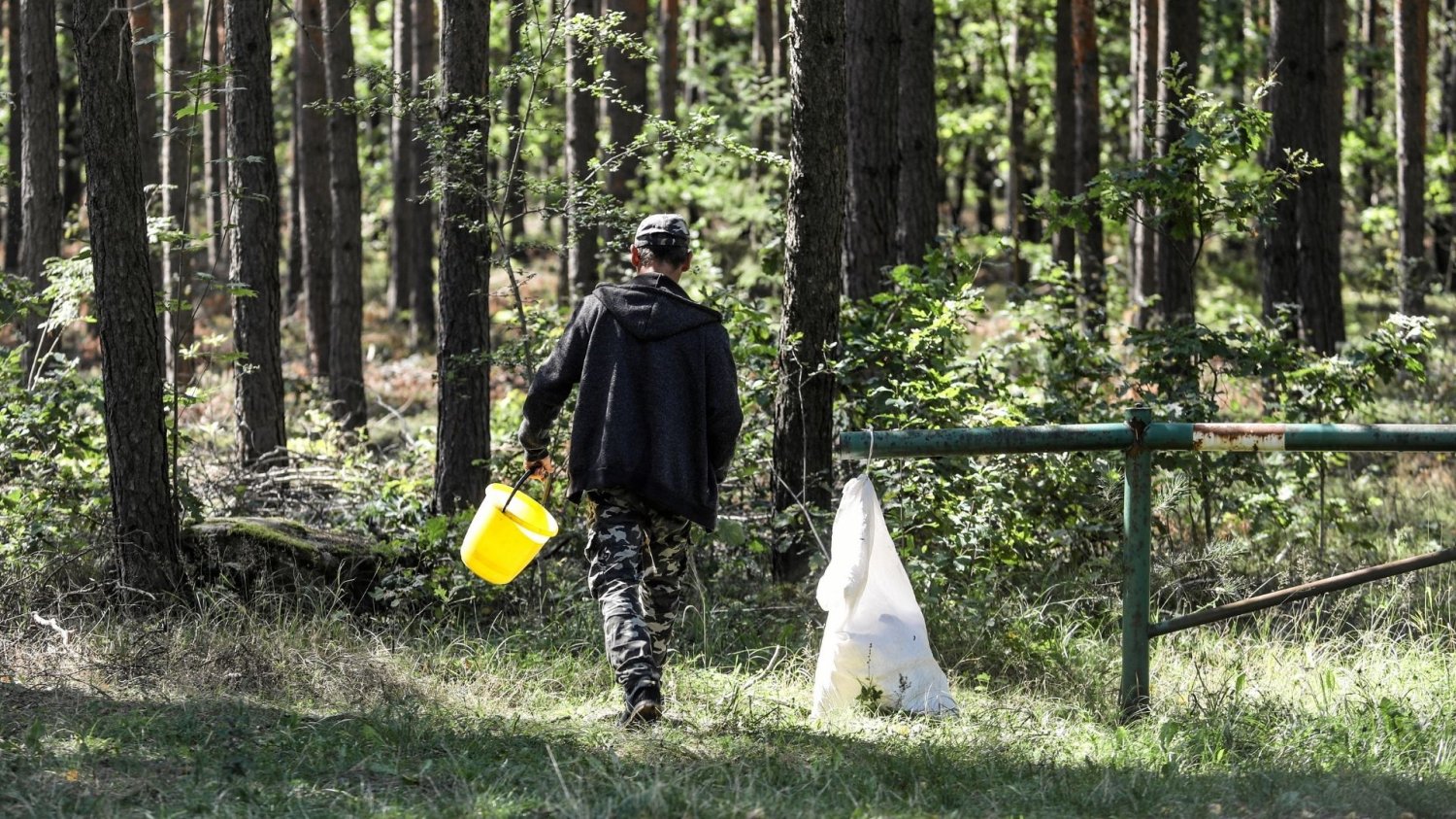 Mężczyzna zginął na grzybobraniu w regionie Gubałówki Śmierć na grzybobraniu pod Gubałówką