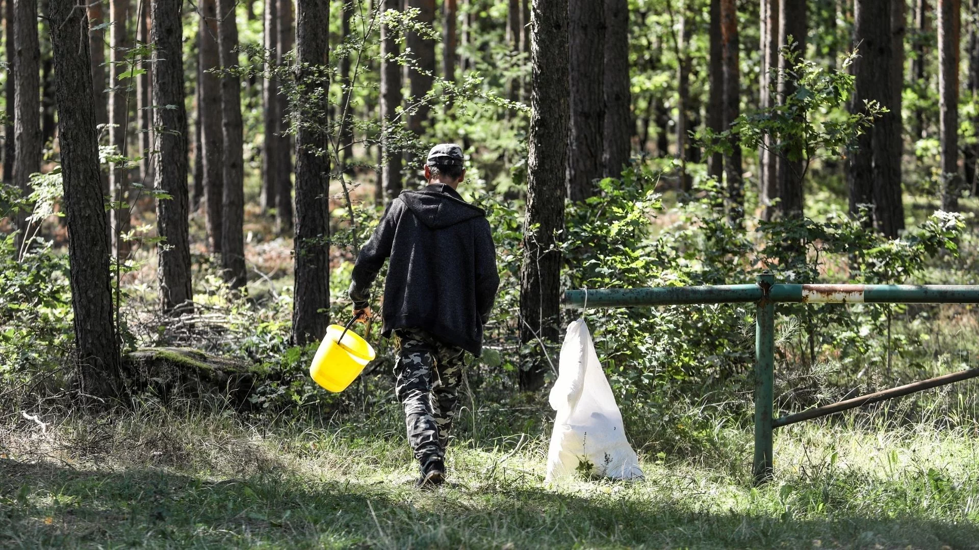 Tragiczny koniec grzybobrania pod Gubałówką. Ogromna akcja policji i TOPR