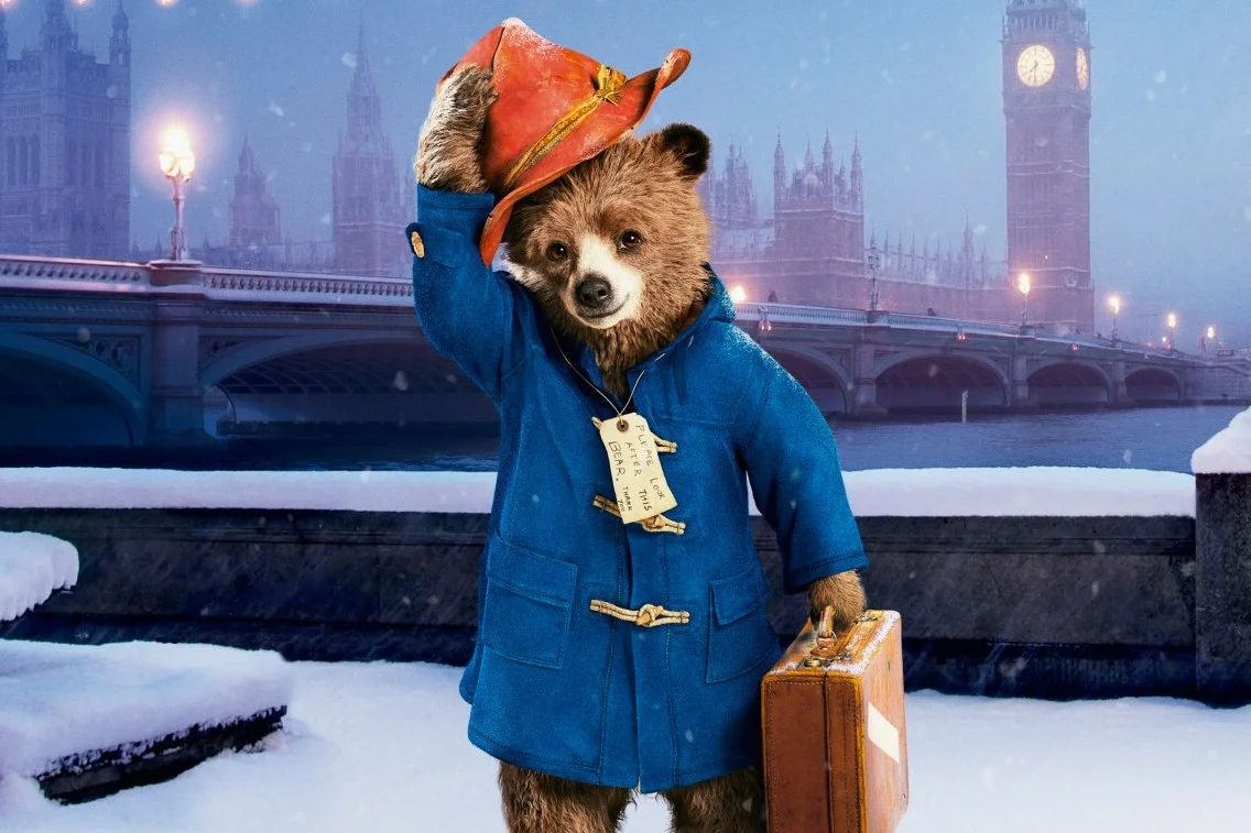 pomysy na przebrania na halloween z książek: miś Paddington miś Paddington
