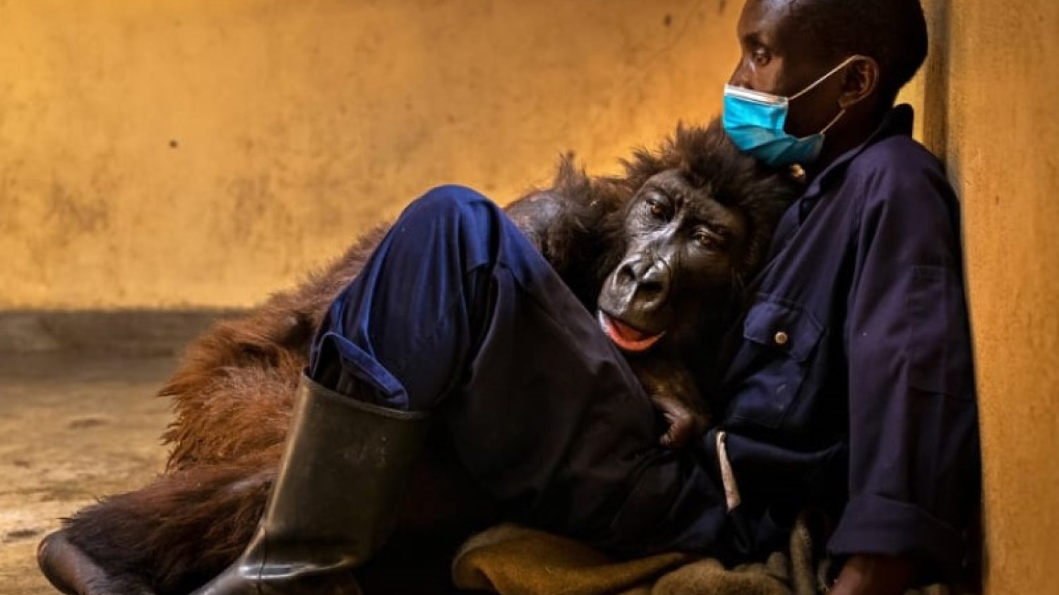 "Ndakasi's passing", Brent Stirton, South Africa