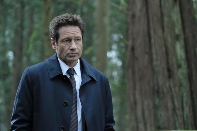 David Duchovny zagra w serialu na podstawie własnej książki "Truly like lighting".