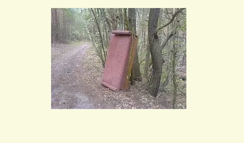 Wersalka do wynajęcia.