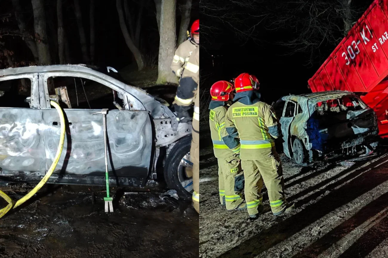 Auto elektryczne gaszono prawie 21 godzin.