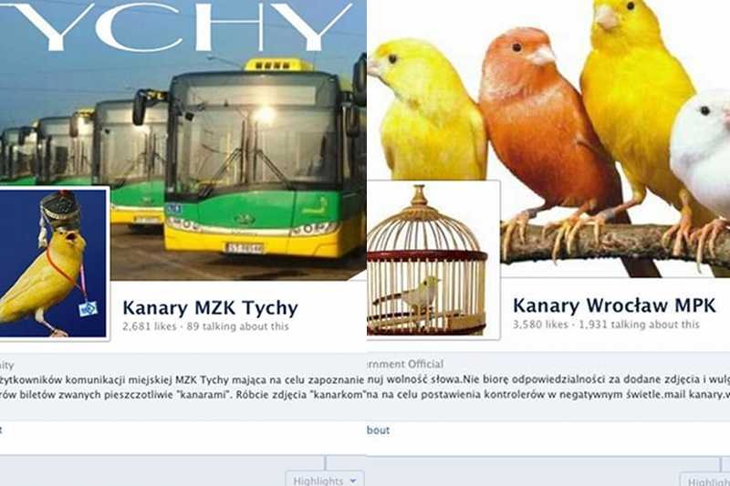 Internauci tropią miejskich kontrolerów i publikują zdjęcia kanarów na Facebooku.