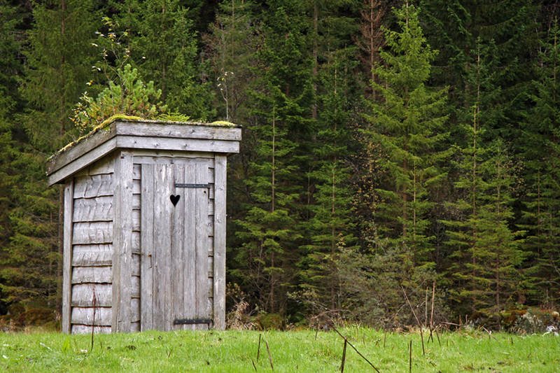 19 listopada obchodzony był Światowy Dzień [url=http://shutr.bz/1bQv5fN]Toalet[/url]. O co w nim chodzi?