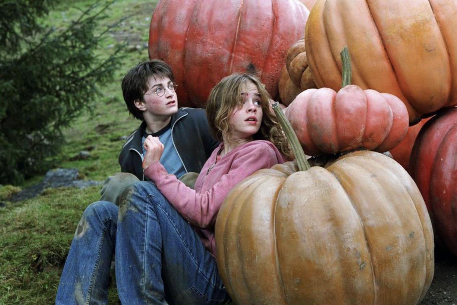 Jakich tytułów nie zobaczymy na Netflixie w tym roku? Platforma usuwa m.in. serię "Harrego Pottera", "Władcę Pierścieni" i "Przyjaciół"