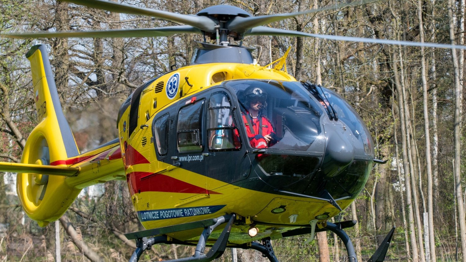 Tragedia pod Poznaniem. Nie żyje sześciolatka.
