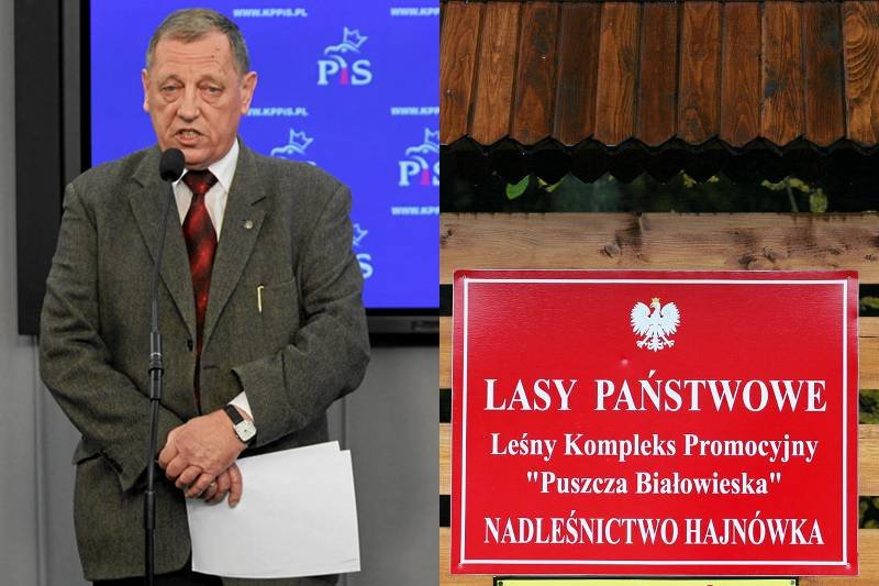 Dlaczego PiS tak zaciekle broni Lasów Państwowych?