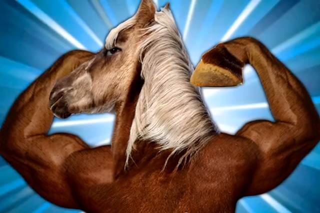 Reklama wody mineralnej Vytautas jest hitem internetu