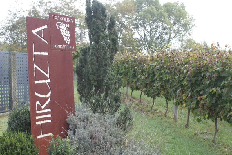 Winnica Hiruzta w Hondarrabii