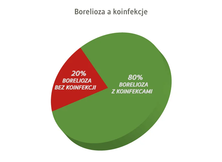 borelioza a występowanie koinfekcji
