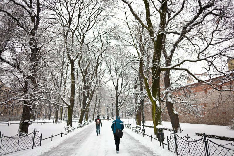 22.01.2014 r. – zima w Krakowie