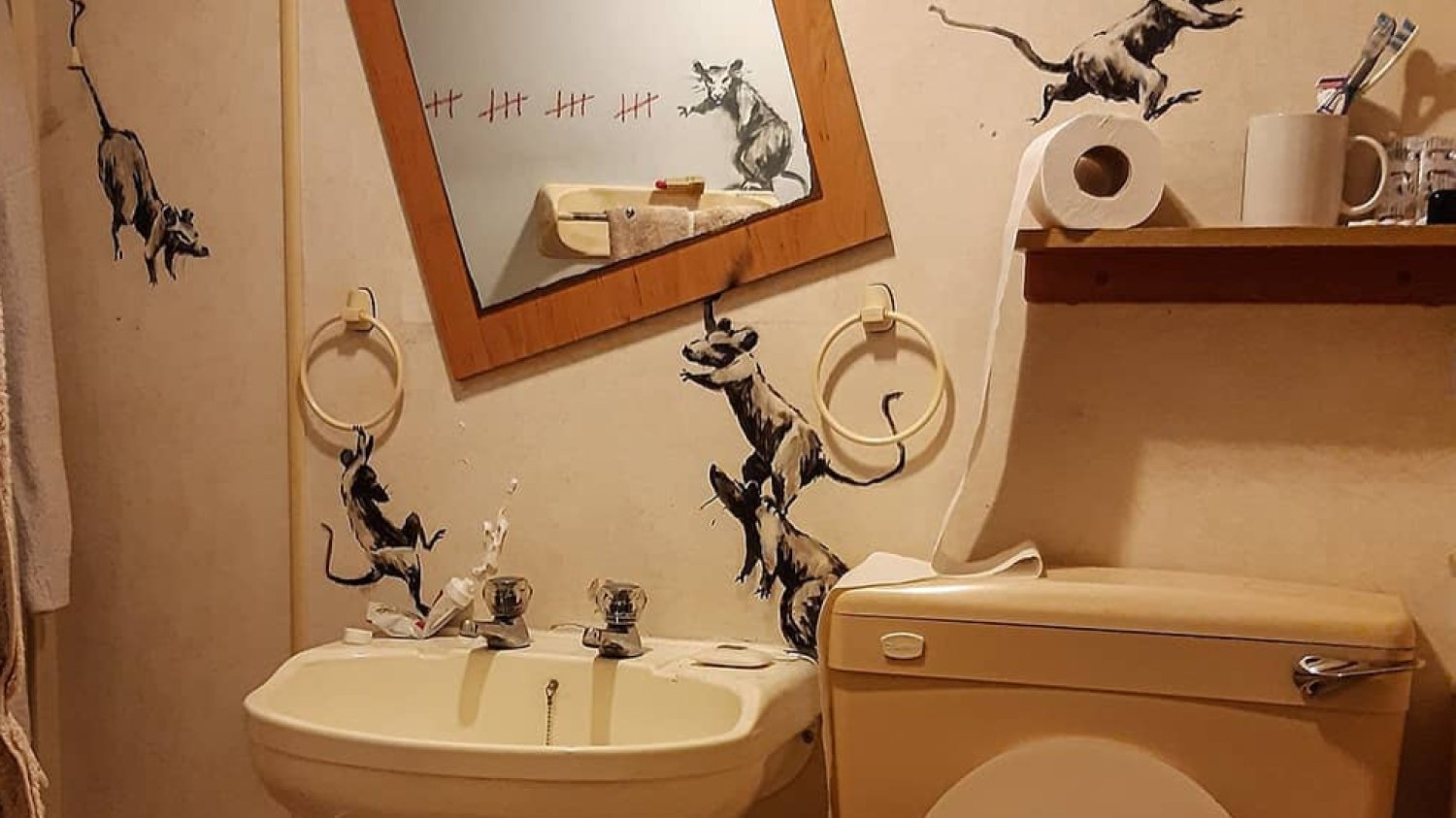 Szczury harcują w łazience Banksy'ego